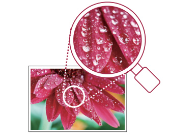 理光新款復印機IMC6500和IMC8000-高清畫質 理光新款復印機IMC6500和IMC8000-高清畫質